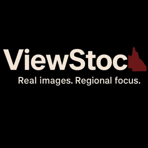 ViewStock Annual Plan