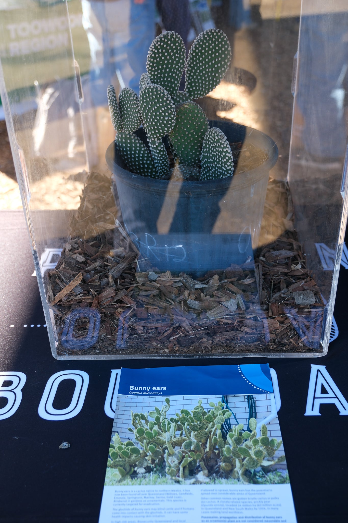 2026 FarmFest – Toowoomba, Queensland (#008)
