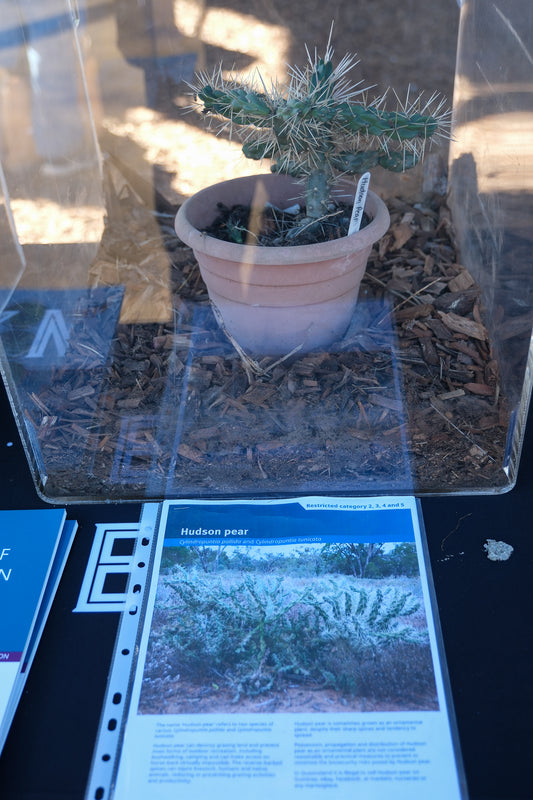 2026 FarmFest – Toowoomba, Queensland (#009)