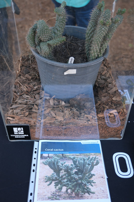 2026 FarmFest – Toowoomba, Queensland (#010)