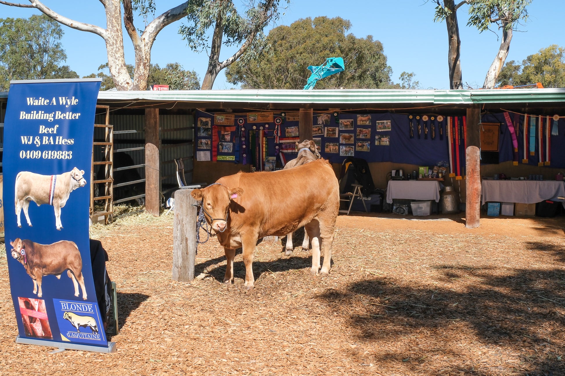 2026 FarmFest – Toowoomba, Queensland (#027)