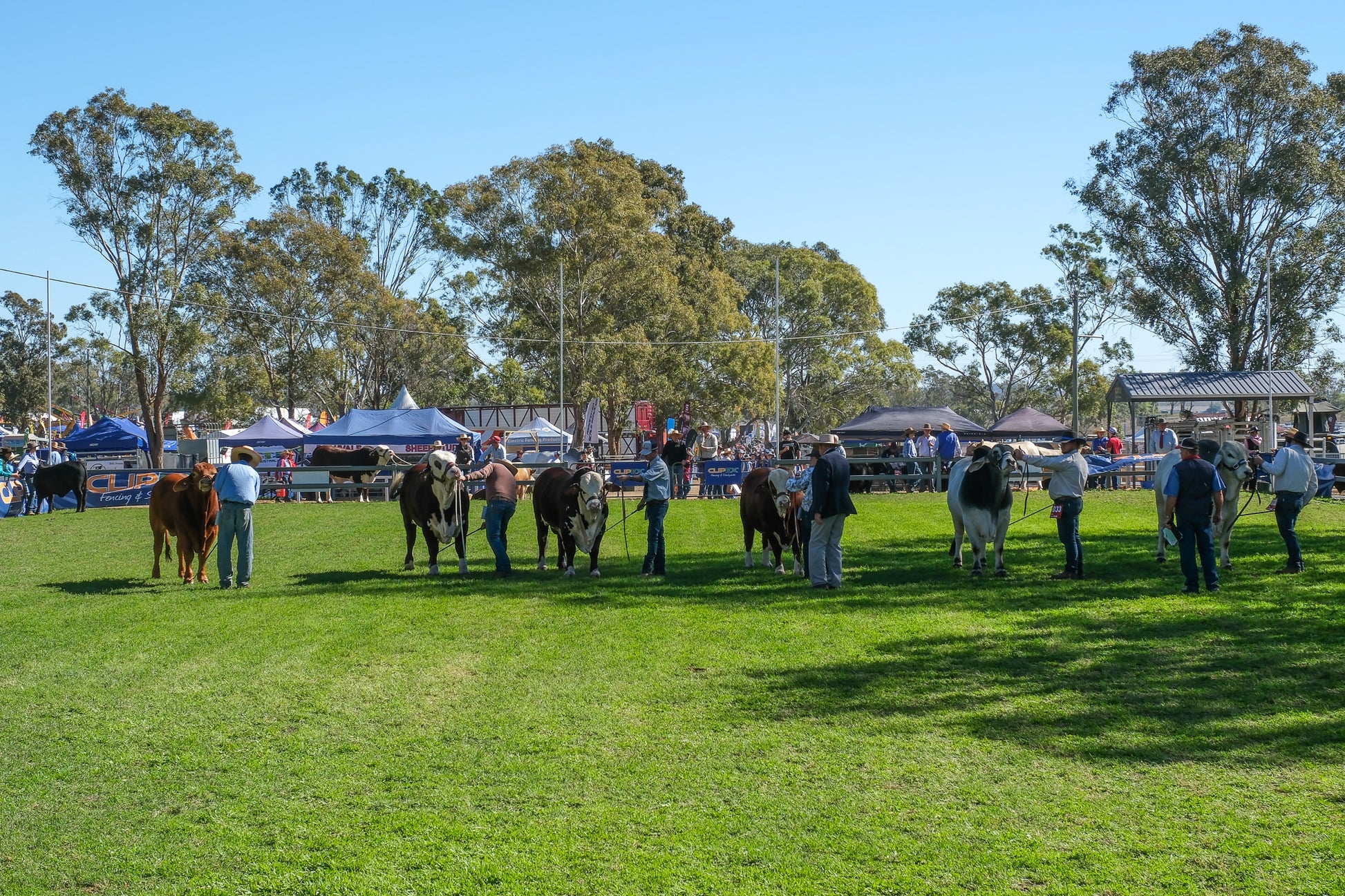 2026 FarmFest – Toowoomba, Queensland (#026)