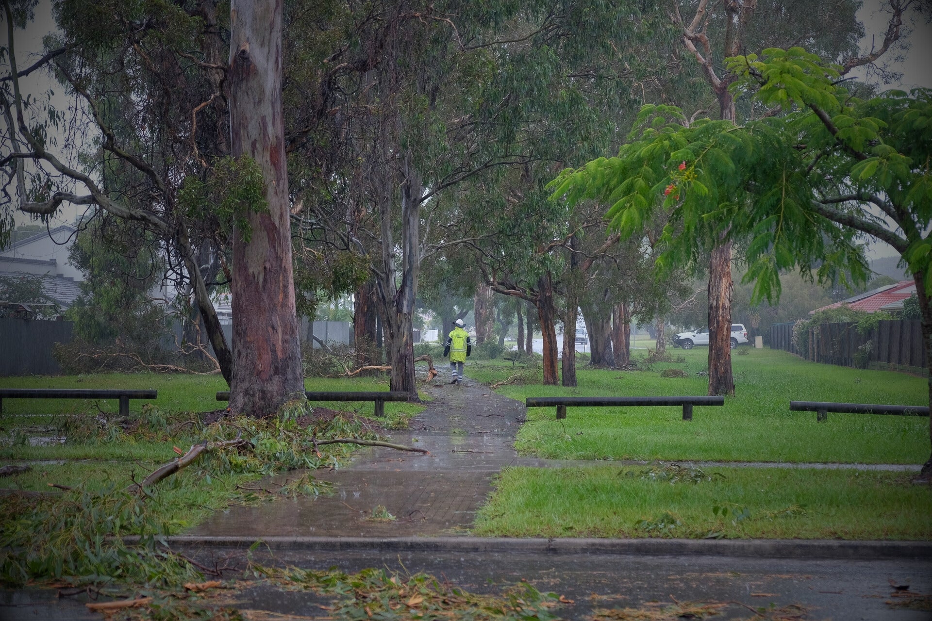 Energex worker walking through storm-damaged parkland in Redland City during Cyclone Alfred cleanup.