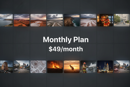 ViewStock Monthly Plan