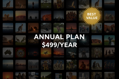 ViewStock Annual Plan